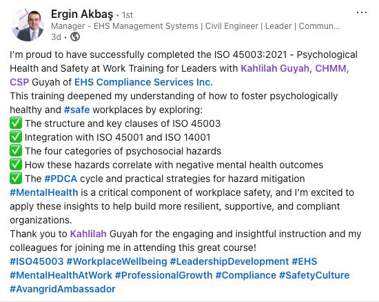 ErginAkbaş_Review